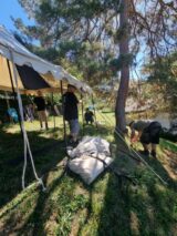 IMG-20260906-WA0035